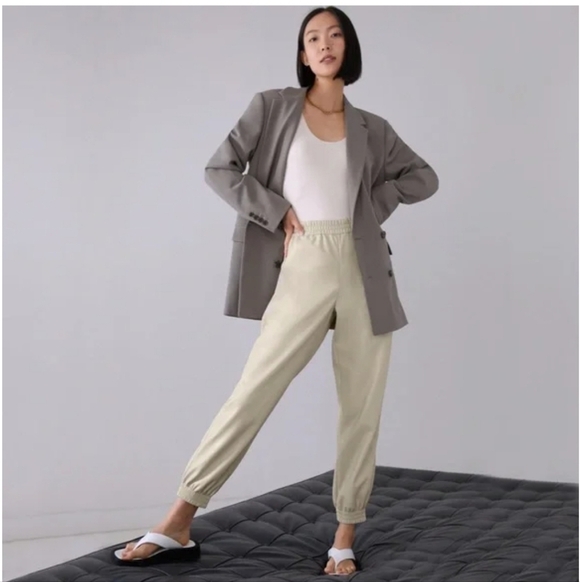 Aritzia Babaton Zedel Pants Beige Faux Leather Joggers 2XL Minimalist High Waist - Picture 3 of 13